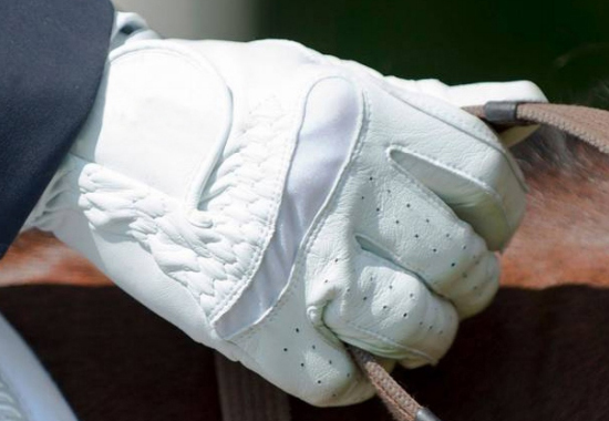 Horse Riding Gloves